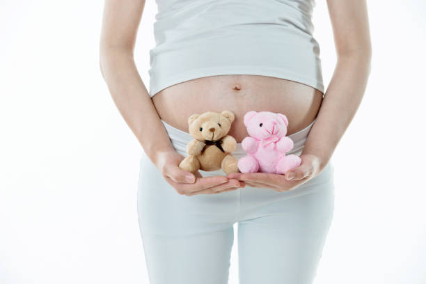 istock Pregnant woman holding two small teddy bears 1095200662