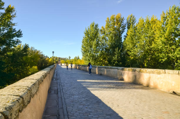 istock Roman Bridge, Salamanca, Spain 1095233208