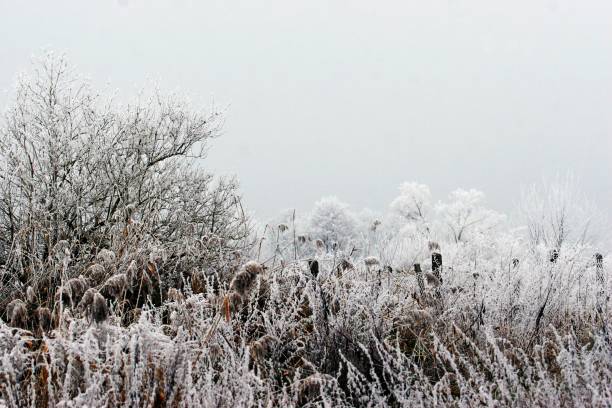 istock Scenic View Of Snow Covered Field Against Sky 1095240748
