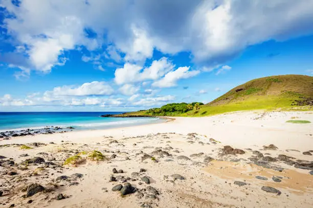 Beautiful natural Anakena Beach under sunny blue summer sky. Anakena , also known as Haŋa rau o te 'ariki or The bay of the king beach. Anakena Beach, Rapa Nui National Park, Hanga Roa, Easter Island, Isla de Pascua, Polynesia, Oceania, Chile
