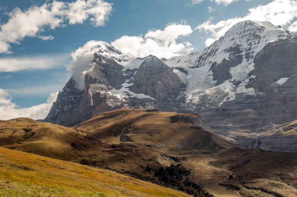 alpy - wengen mountain peak eiger field zdjęcia i obrazy z banku zdjęć