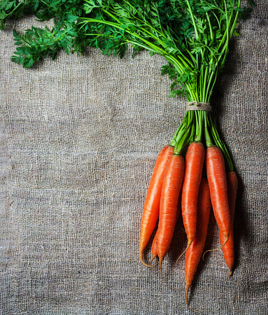 Carrots on Canvas Background