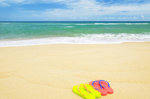 Flip-flops isolated on blue background
