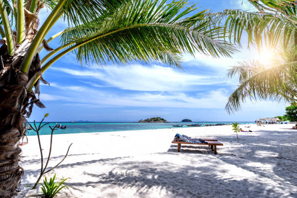 A sunny day with the beach chairs under the palm tree in Koh Lipe,Thailand. stock photo