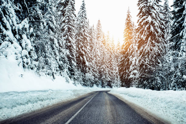istock Winter road and trees after a snowstorm 1095257796