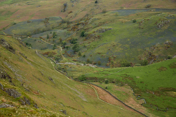 istock Bluebells in the hills 1095264148