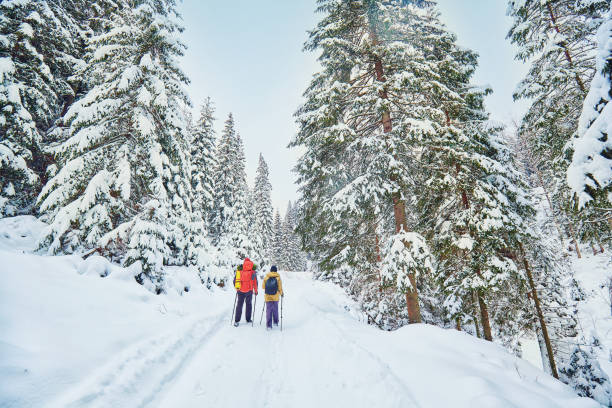 istock snow covered hiking trail in winter forest 1095274268