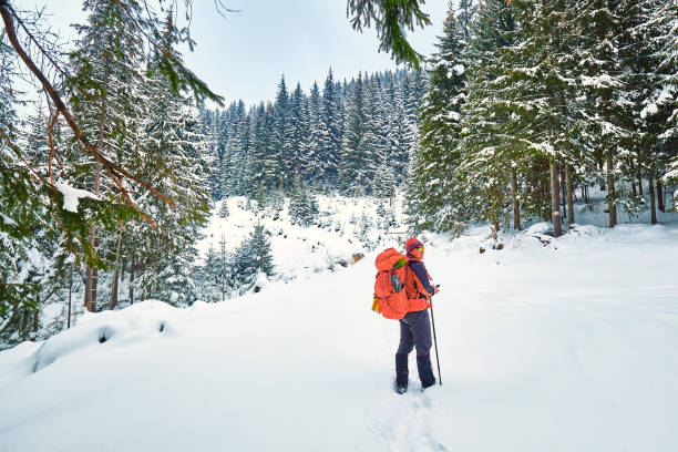 istock snow covered hiking trail in winter forest 1095274294