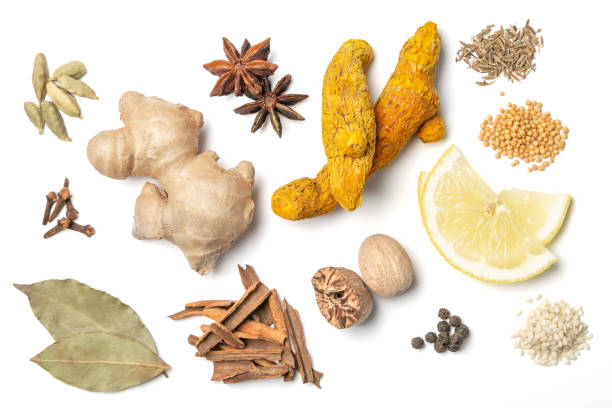 selection of traditional indian spices - cardamom spice indian culture isolated imagens e fotografias de stock