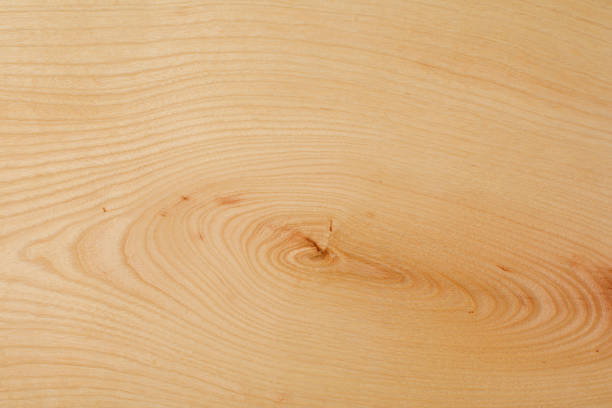 istock Wood texture  Maple natural wood texture. 1095282442