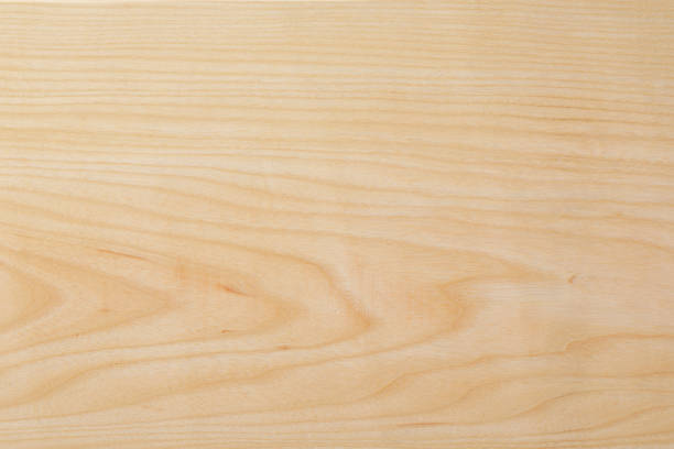 Wood texture  Maple natural wood texture.
