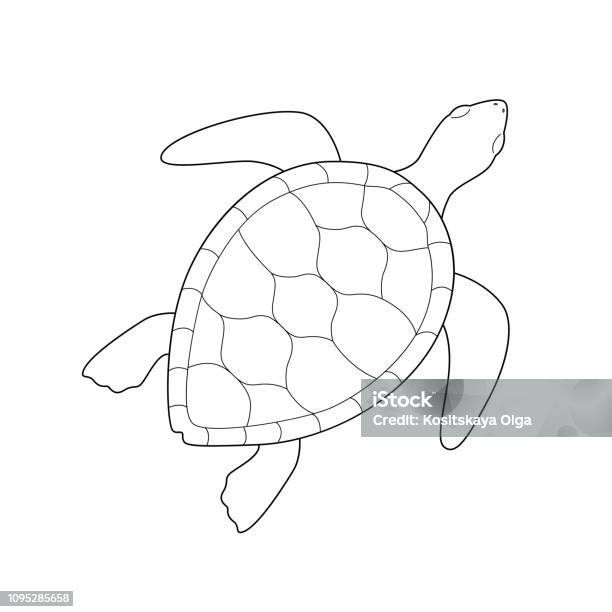 Isolated Black Outline Monochrome Sea Green Turtle On White Background Curve Lines Page Of Coloring Book Stock Illustration - Download Image Now