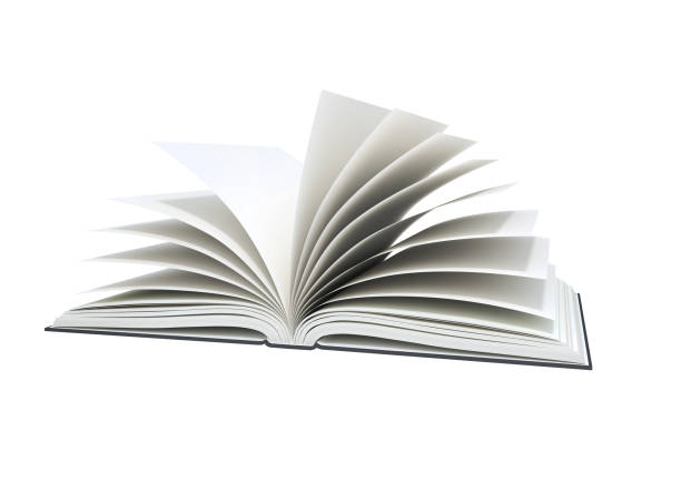 istock Open blank book on white background. 1095285858