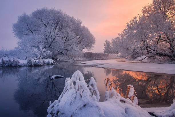 istock Morning winter landscape in sunlight 1095286344