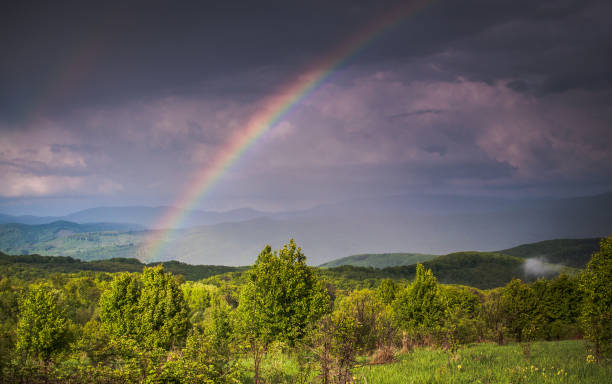 istock Spring Carpathian landscapes 1095289306