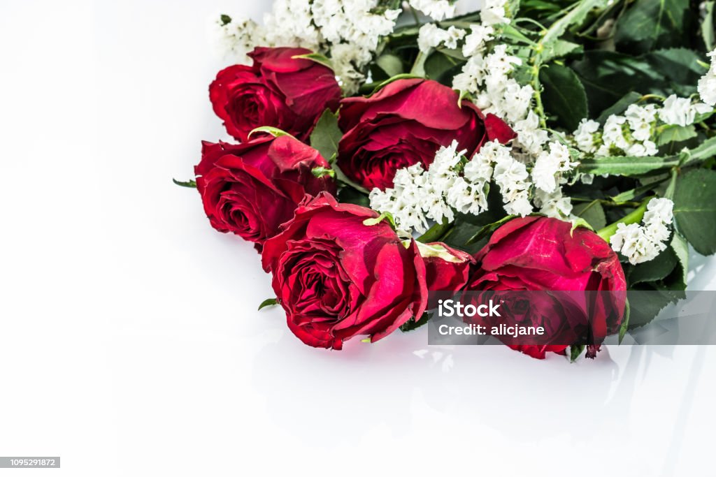 Ramo De Rosas Rojas Hermosas Aislado En Blanco Fondo De Flores Para  Tarjetas De San Valentín Foto de stock y más banco de imágenes de  Aniversario - iStock