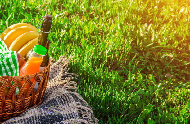 istock Plaid for a picnic on the grass. Selective focus. 1095298542