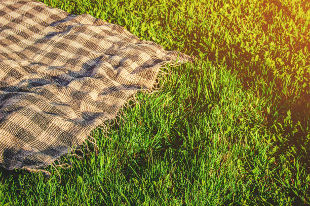 istock Plaid for a picnic on the grass. Selective focus. 1095298582