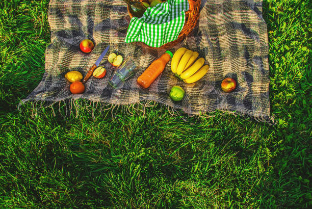 istock Plaid for a picnic on the grass. Selective focus. 1095298590