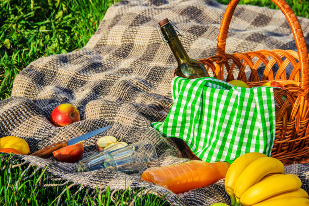 istock Plaid for a picnic on the grass. Selective focus. 1095298594