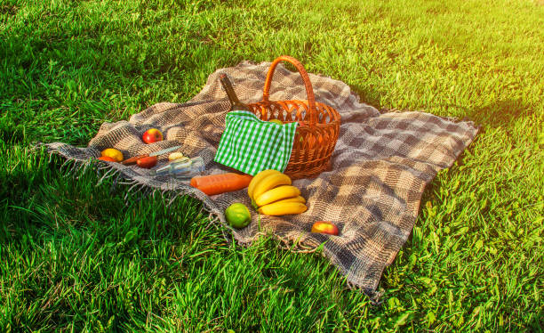 istock Plaid for a picnic on the grass. Selective focus. 1095298598