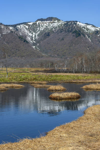 istock Mt.Keizuru  seen from Ozegahara Marshland 1095312332
