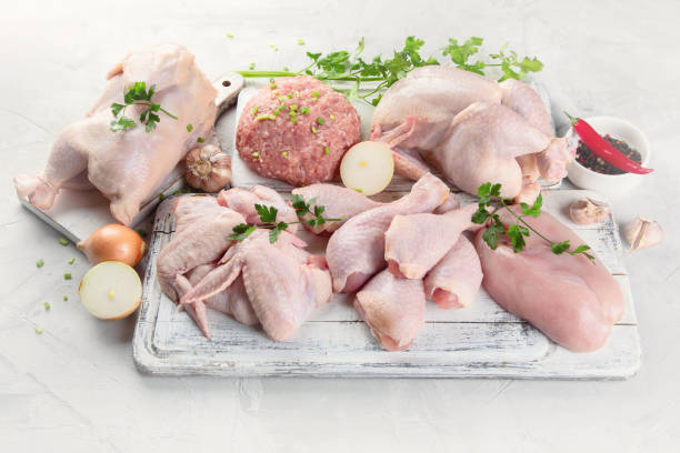 istock Different types of chicken meat 1095315758