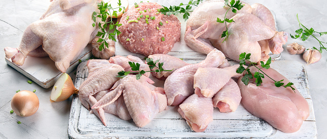 Different types of fresh chicken meat. Healthy diet eating. Panorama, banner