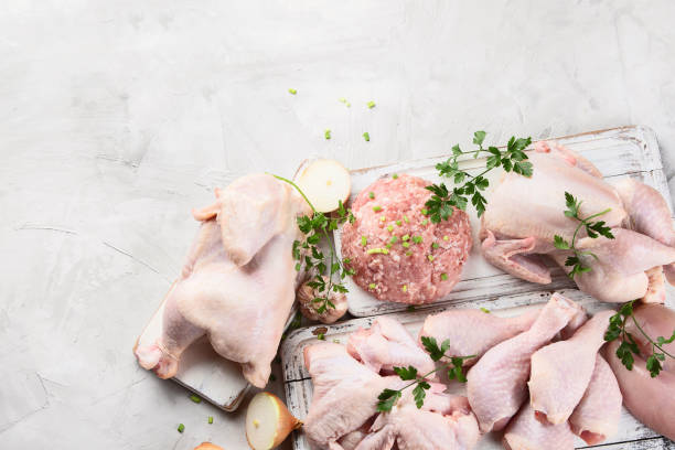 istock Different types of chicken meat 1095316808