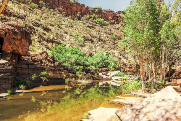 istock Dales Gorge Australia 1095316894