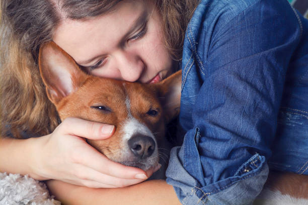 девушка обнимает собаку basenji, тонированные. - vet dog teenager puppy стоковые фото и изображения