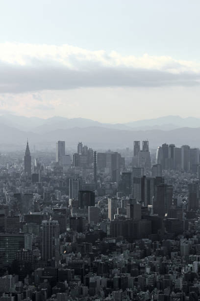 istock Gray monochrome city Tokyo 1095324024