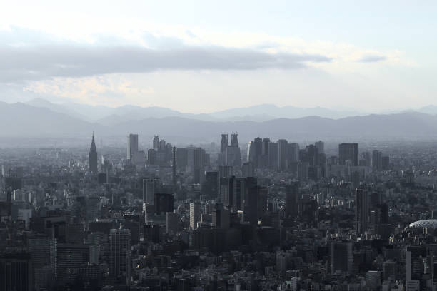 istock Gray monochrome city Tokyo 1095324068