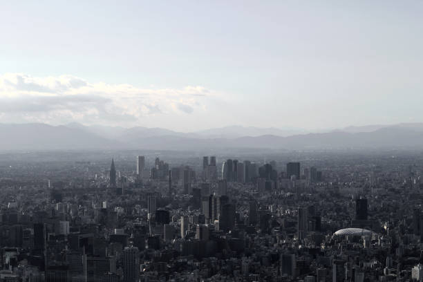 istock Gray monochrome city Tokyo 1095324076