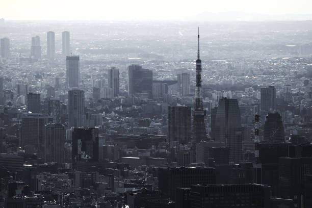 istock Gray monochrome city Tokyo 1095324110