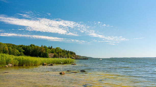 istock Beach in Kolmarden, Sweden 1095324774