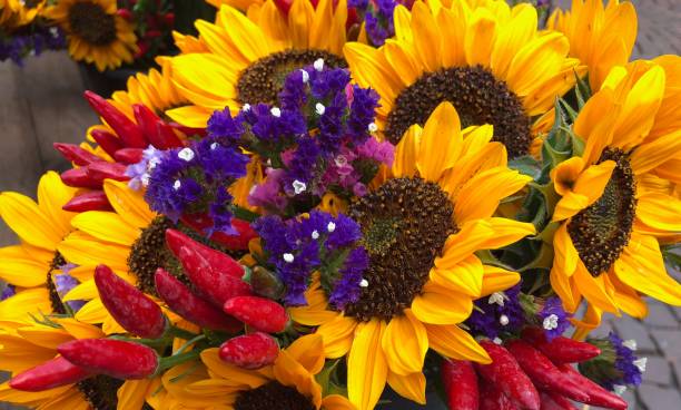 istock Close-Up Of Multi Colored Flowers 1095328338