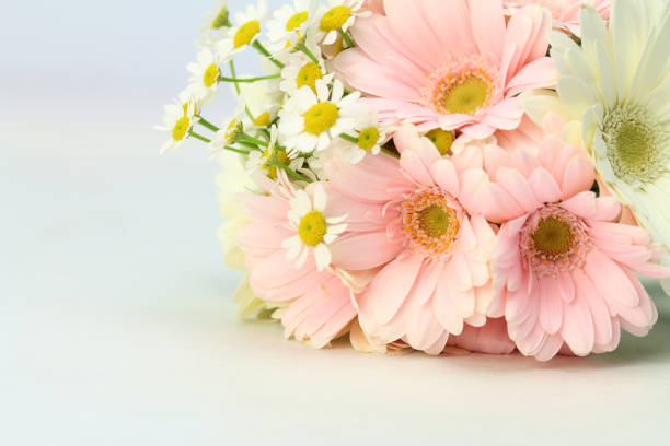 Detail close up of pink gerbera and chrysanthemums bunch. Selective focus. Blurred background.
