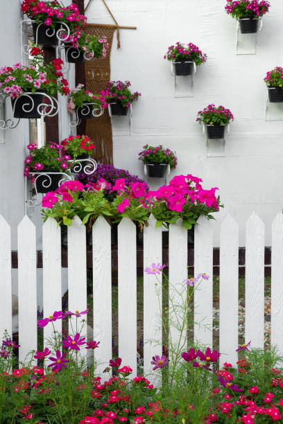 istock Decorative flower pots on a white wall. 1095337800