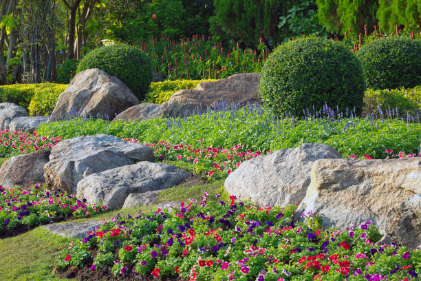 istock Decorative garden in the parks. 1095337960