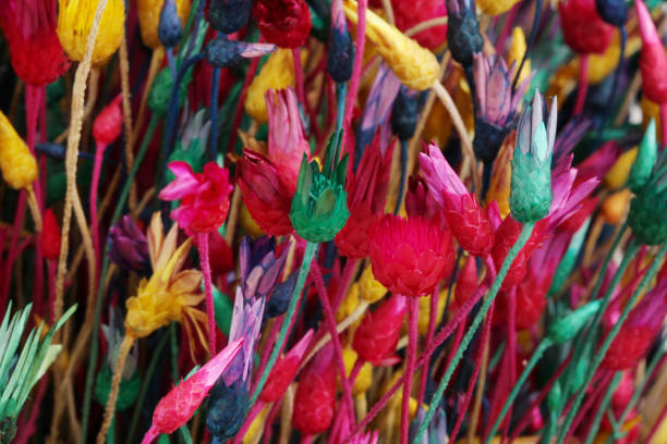 istock Dry flowers and grass. Abstract bright color background. 1095348284