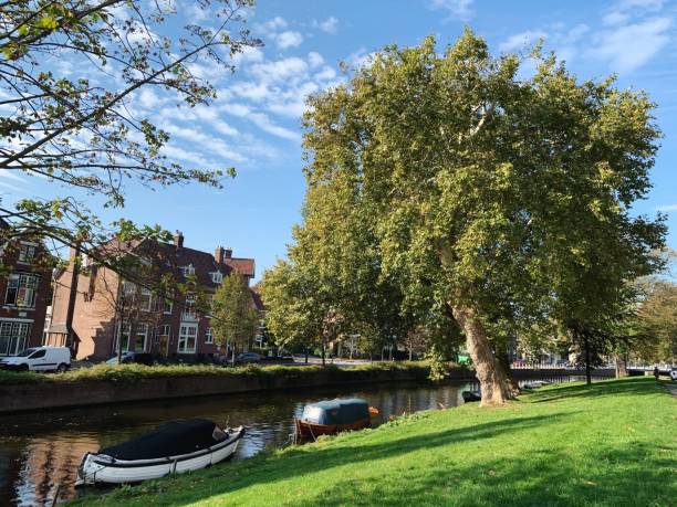 istock Boats Moored In Canal Against Trees 1095349334