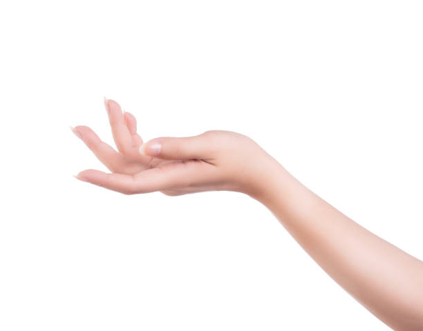 Beautiful woman hands isolated on white background, concept of holding a virtual thing or hand manicure care, closeup. Beautiful woman hands isolated on white background, concept of holding a virtual thing or hand manicure care, closeup. hand palm stock pictures, royalty-free photos & images