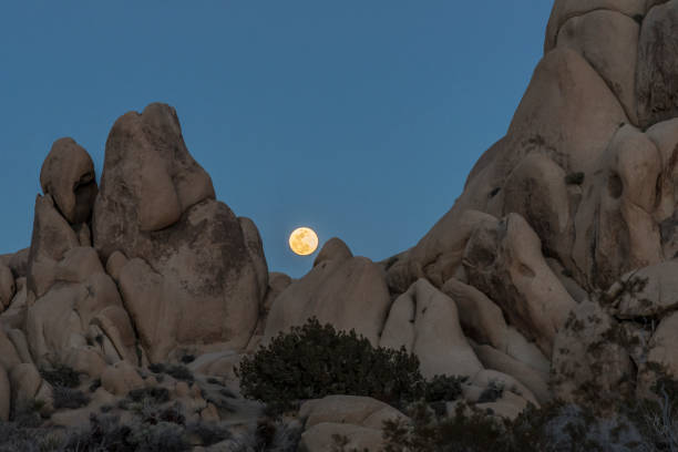 istock Joshua Tree National Park Full Moon 1095356002