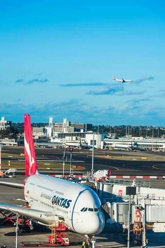 Sydney, Australia - October 1, 2018: view of airplanes operated by Qantas with other Aircraft loading and boarding at Sydney International Airport.
