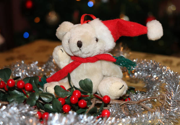 istock Christmas Decoration Santa Teddy Tree Ornament 1095358660
