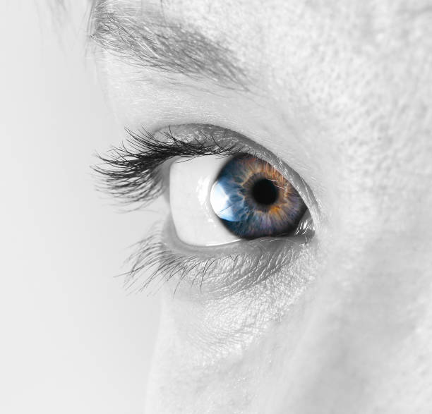 istock Cropped Image Of Woman Eye 1095363654