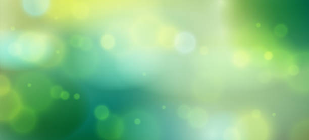 istock Blurred nature background defocused beyond the window, vector illustration out of focus beautiful summer or spring illustration. 1095364784
