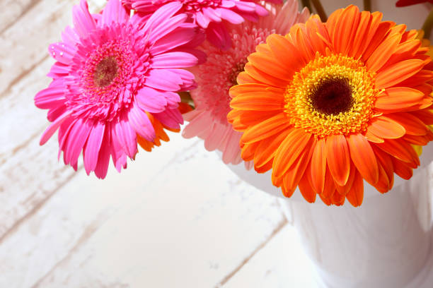 istock Flower gerbera bouquet on wood background. 1095367350