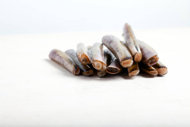 Raw razor clams Raw razor clams razor clam stock pictures, royalty-free photos & images